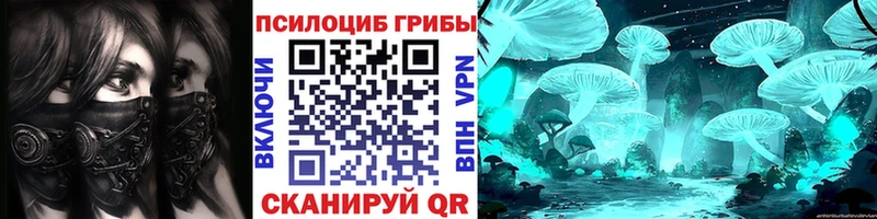 сколько стоит  Элиста  Галлюциногенные грибы Psilocybine cubensis 